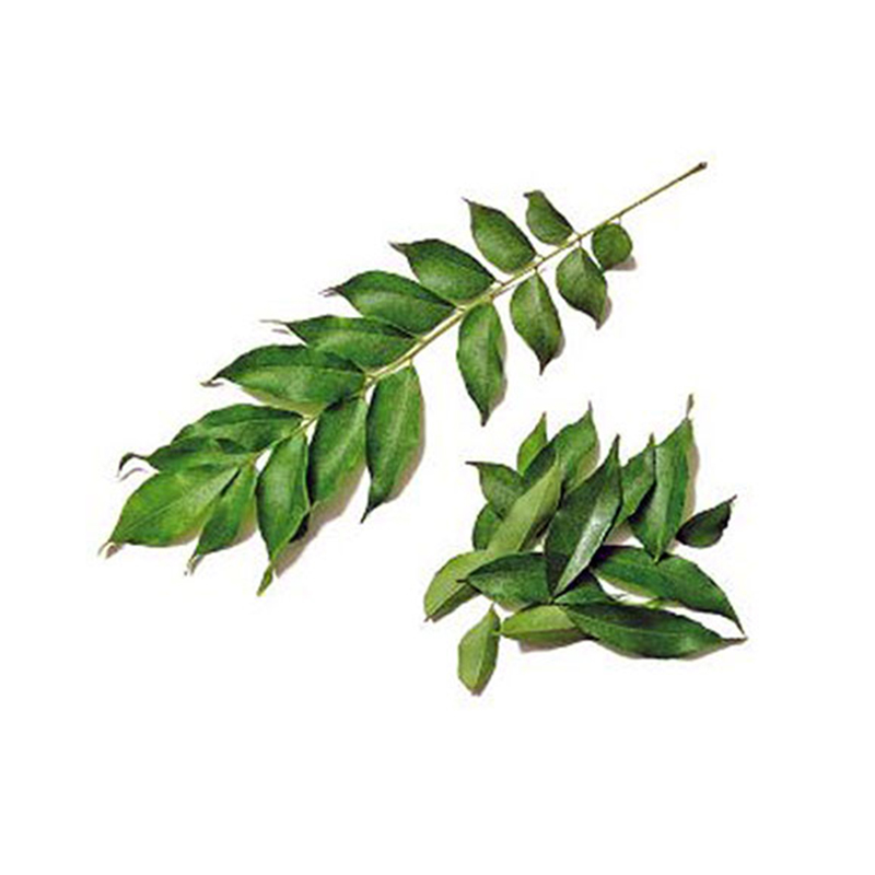 Sweet Neem
